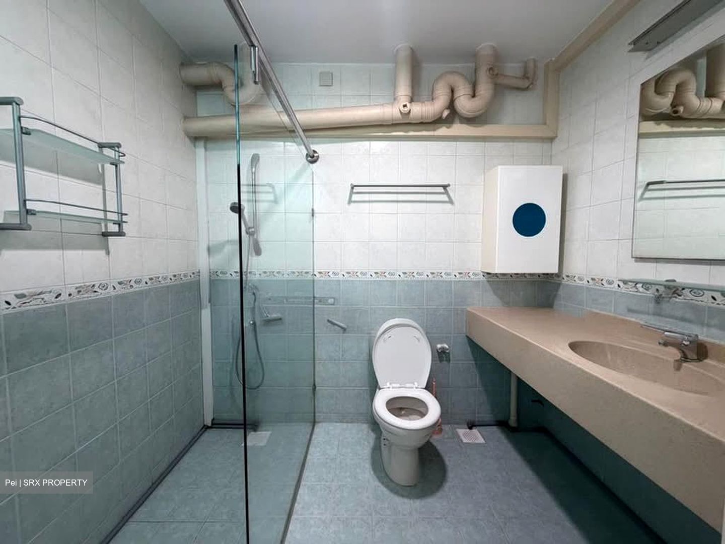 Blk 186 Punggol Central (Punggol), HDB Executive #568292801